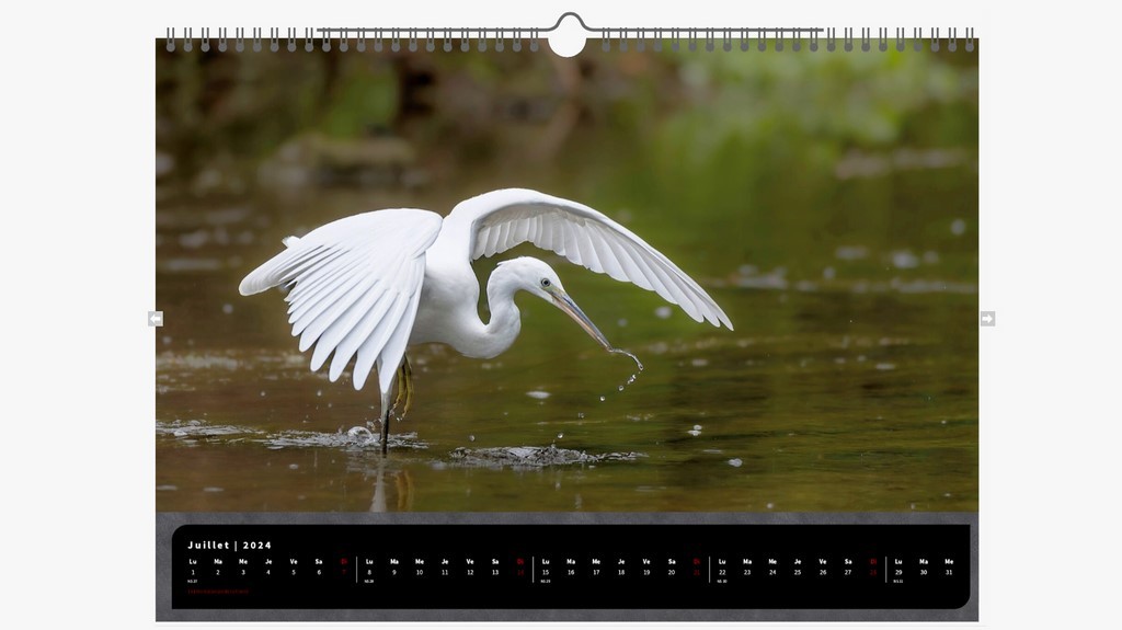 Calendrier animalier 2024 Echassiers