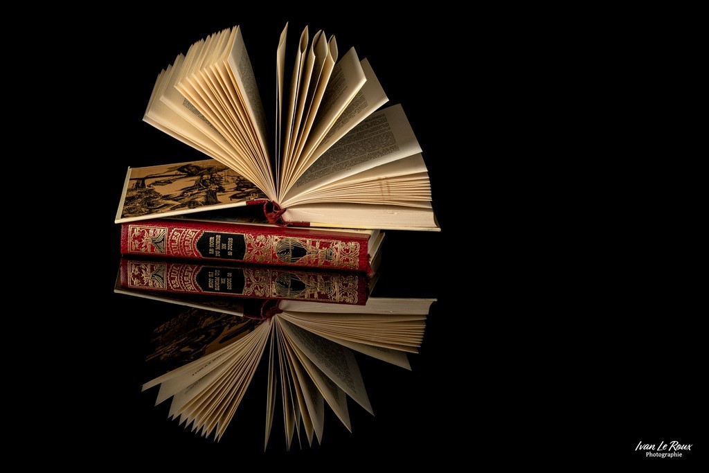 Livre ouvert Photographe Ivan Le Roux