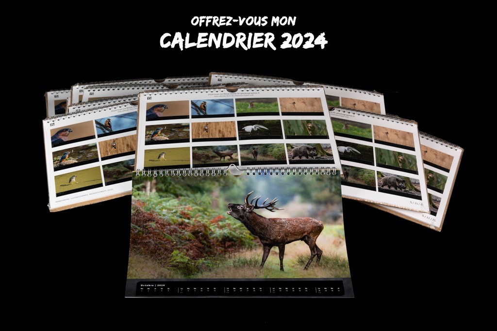 Calendrier animalier