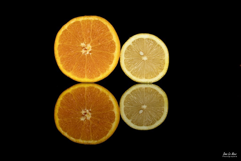 Rondelles d'orange et citron photographe Ivan Le Roux