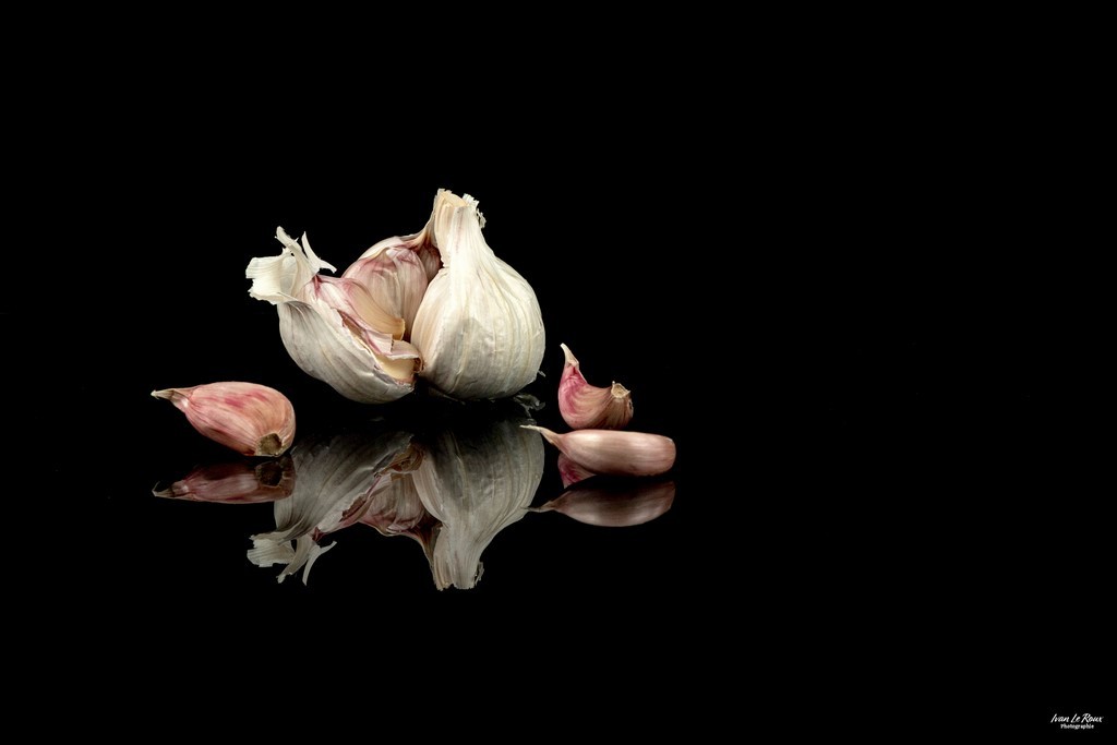 Tête d'ail rose Ivan Le Roux Photographe