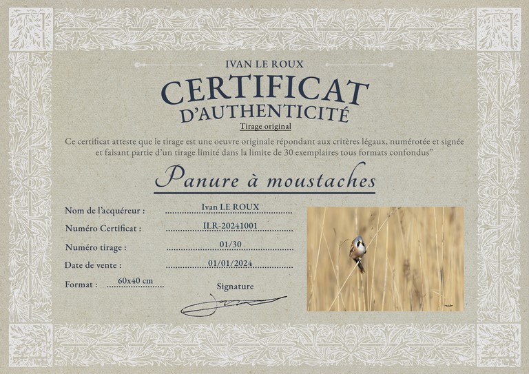 certificat d'authenticité ivan Le Roux