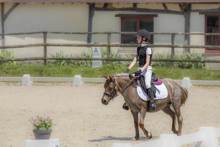 Concours de Dressage Verneuil-sur-Avre (27) Juin 2023 Haras