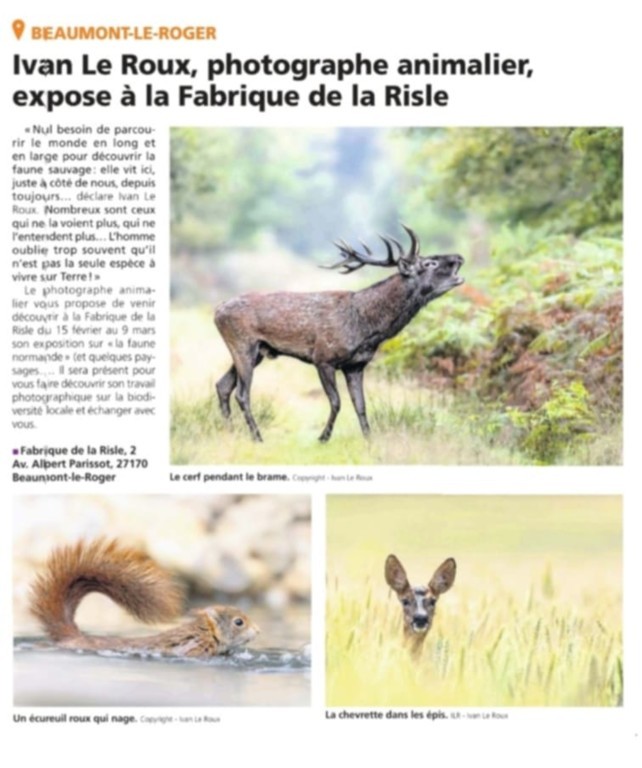 L'Eveil Normand Ivan Le Roux Exposition photos