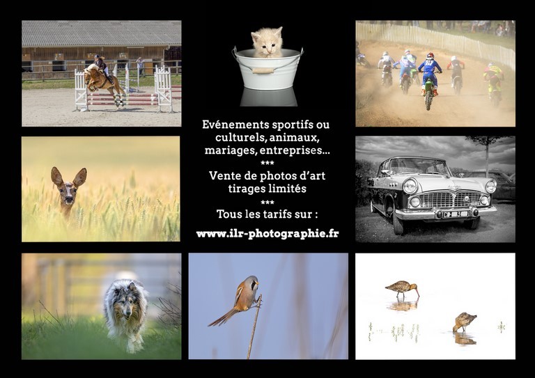 Flyer Ilr Photographie verso