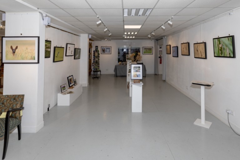 Exposition à la Fabrique de la Risle Ivan Le Roux photographe animalier