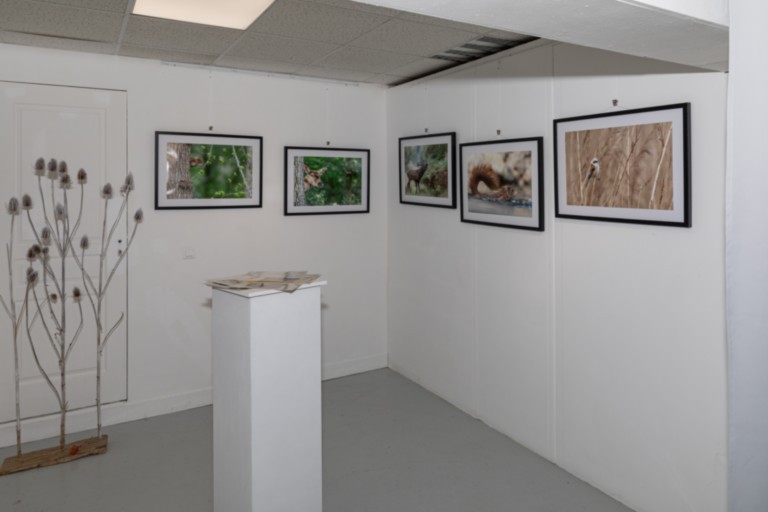Exposition faune normande Beaumont-le-Roger