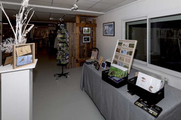 ivan Le Roux photographe animalier exposition 