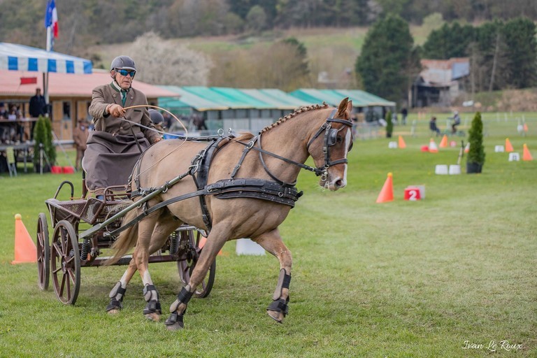 Concours equestre attelage