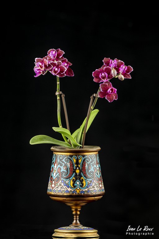 Photos entreprise vase fleurs fleuriste