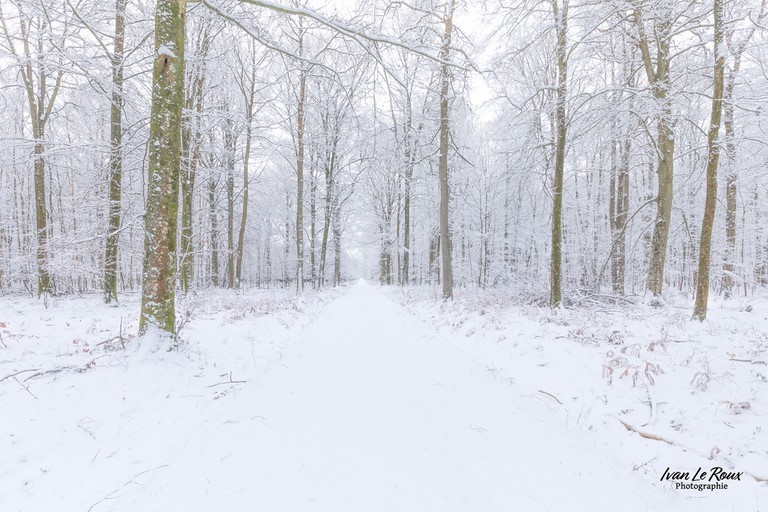 Profitons de la neige pour faire quelques photos !