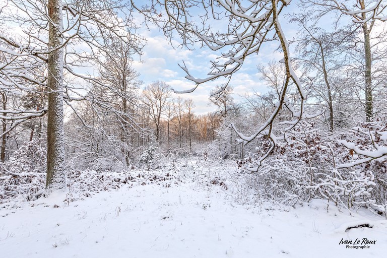 Profitons de la neige pour faire quelques photos !