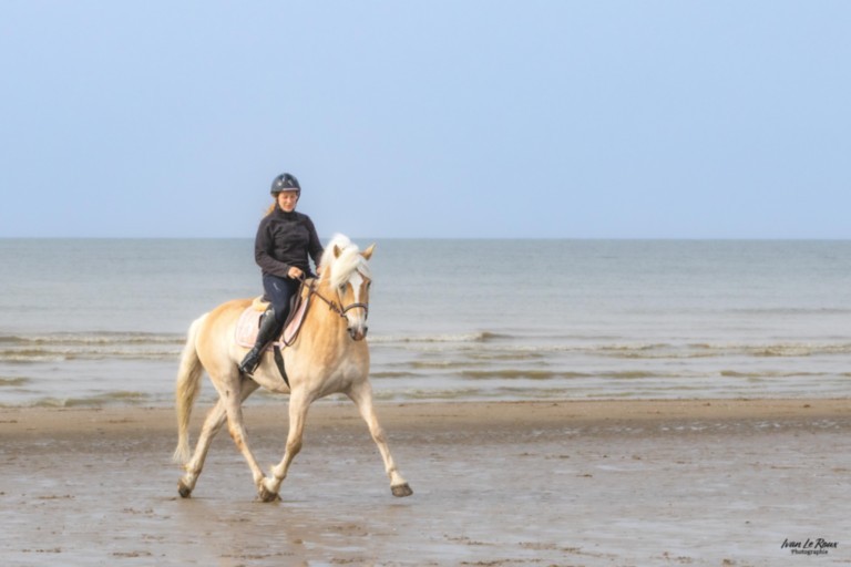 Equitation Jessica merville-Franceville