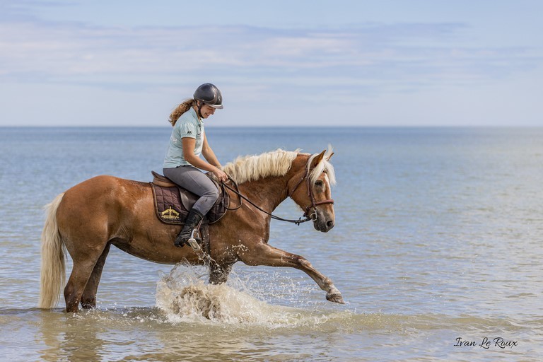 Cavalier à cheval dans la mer