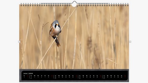 Calendrier animalier 2024 Oiseaux