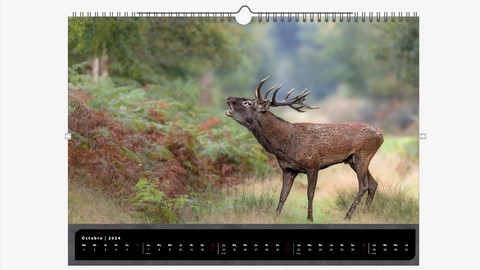 Calendrier animalier 2024 Cervidés