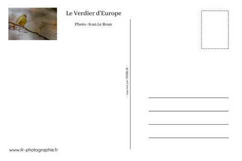 verso de carte postale